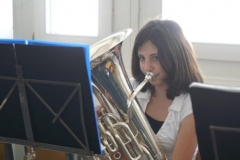 Mosses 2008