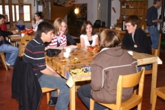 Mosses 2008