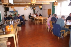 Mosses 2008