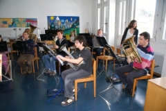 Mosses 2008
