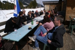Mosses 2008