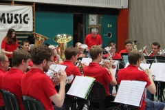 photo_11
