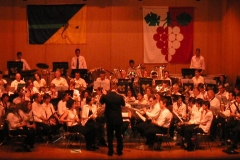 concert1