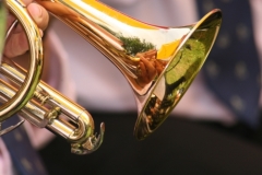 instrument