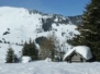 Mosses - 21.02.2010 
