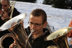 mosses17