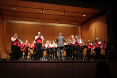 concert3