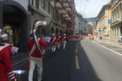 fevi_13