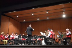 concert30