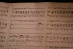 audition19