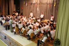concert6