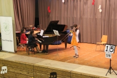 ib15
