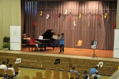 ib8